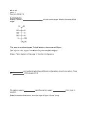 Carbohydrates Worksheet-1.pdf