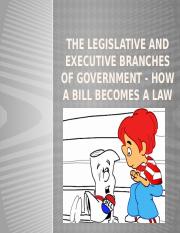 Chapter_5_Legislative and Executive Branches_Committees_How_a_Bill_becomes a Law (2).pptx