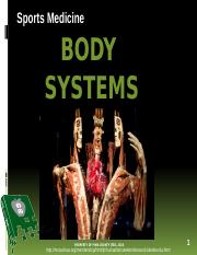 Body System PowerPoint.pptx