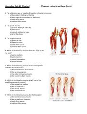 Quiz 4 Muscles Q2 (1).docx