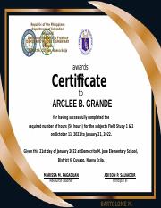 Arclee-Certificate.docx