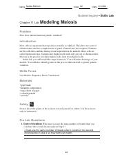 modeling meioisis.pdf