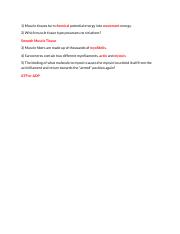 Check-in Quiz #9 - Muscle Cells.pdf