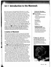 mammal_guided_reading_text (1).pdf