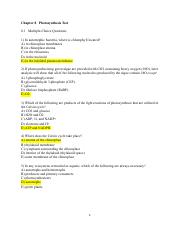 photsynthesis test.pdf