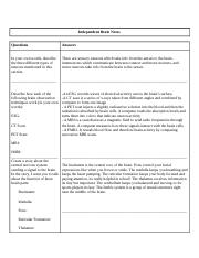 The Brain Cornell Notes.docx