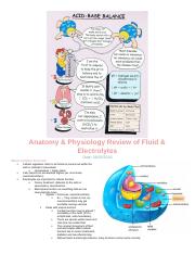 N311 - Fluids & Electrolytes.docx