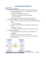 Cycle 5_ Integrated Metabolism.docx
