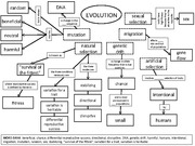Evolution Concept Map Key Neutral Mutation Harmful Is Known As