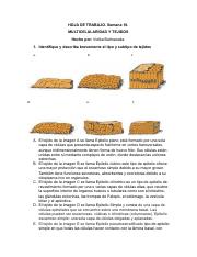 HOJA DE TRABAJO-Sem 10 (1).pdf