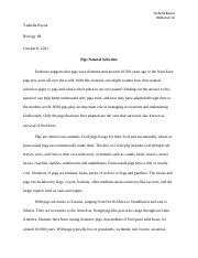 Pigs Natural selection essay.docx