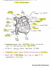 patho - Cardiac_20200119112419.pdf