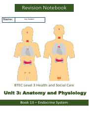 Book 13 Endocrine-illustrated-notebook-answers