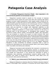 Patagonia Case Analysis.rtf