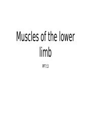 13. Muslces of Lower Limb.pptx