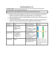 Lesson 3.8 Mitosis Modified.pdf