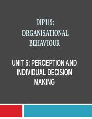 Unit 6 Perception and Individual Decision Making.ppt