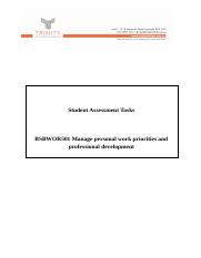 BSBWOR501 Assessment Task.docx