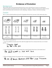 Evidence_for_Evolution_Worksheet_-_Anatomy___leonardoo.pdf