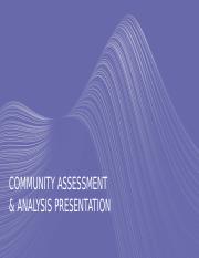 Community Assessment & Analysis Presentation SLM.pptx