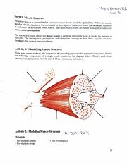 Lab 5 Physiology .pdf