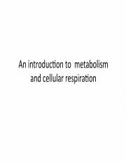 Lecture 17 - Introduction to Metabolism (I)