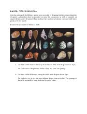 Labs 6, 7 and 8 - Mollusc, Annelida and Arthropoda - Spring 2022.pdf