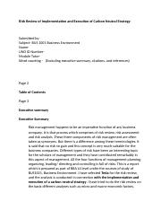 Risk Review of A Carbon Neutral Strategy Implementation.docx