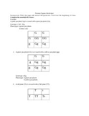 Punnett Square Worksheet (1).docx - Punnett Square Worksheet