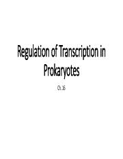 Regulation of Transcription in Prokaryotes Ch. 16.pdf