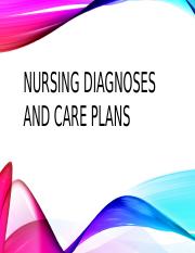 LP5 Nursing Diagnoses and Care Plans F21.pptx