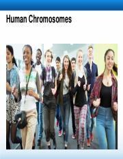 Section 15.1 Human Chromosomes - Student .pdf