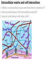 Cell Biology L3  (Extracellular matrix and cell interactions).ppt