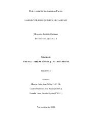 P6_AMINAS. OBTENCIÓN DE  p - NITROANILINA_ equipo 2_sección 4 (2).pdf