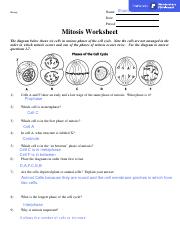 Copy of mitosisworksheet.pdf