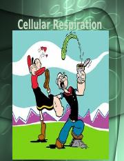 Cellular_Respiration.ppt