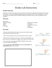 Elodea Lab Instructions (1).docx