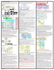 Wueest.A.151230.MGT01_PRC_Summary Andrea Wueest.pdf