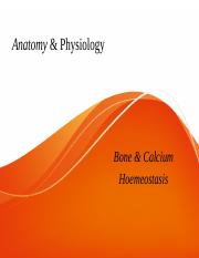 Bone and calcium Homeostasis.ppt