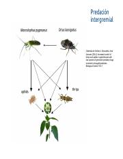ecological_interactions.pdf
