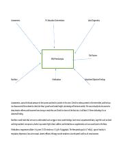 OB Example Template for Concept Map (2).docx