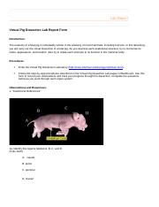 PigDLabReport (1).docx