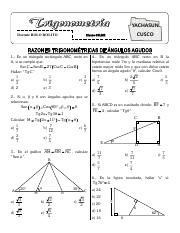 (03) Razones Trigonométricas 01 ok.pdf