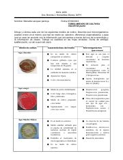 TAREA ESPECIAL MEDIOS DE CULTIVO BIOL 1603 oficial.docx