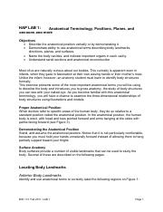 Hap Lab 1 (positions, planes and sections).pdf
