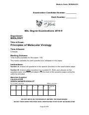 BIO00041H Principles of Molecular Virology Exam Paper 2018_19 Question Only .pdf