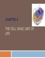 Biology - Ch.4 - The Cell Basic Unit of Life.ppt
