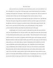 Ants Extra Credit Research Paper.docx