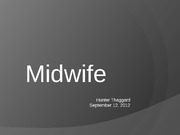HPP Midwife