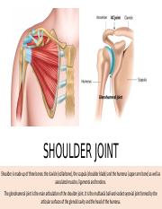 Iman-shoulder joint.01.pptx